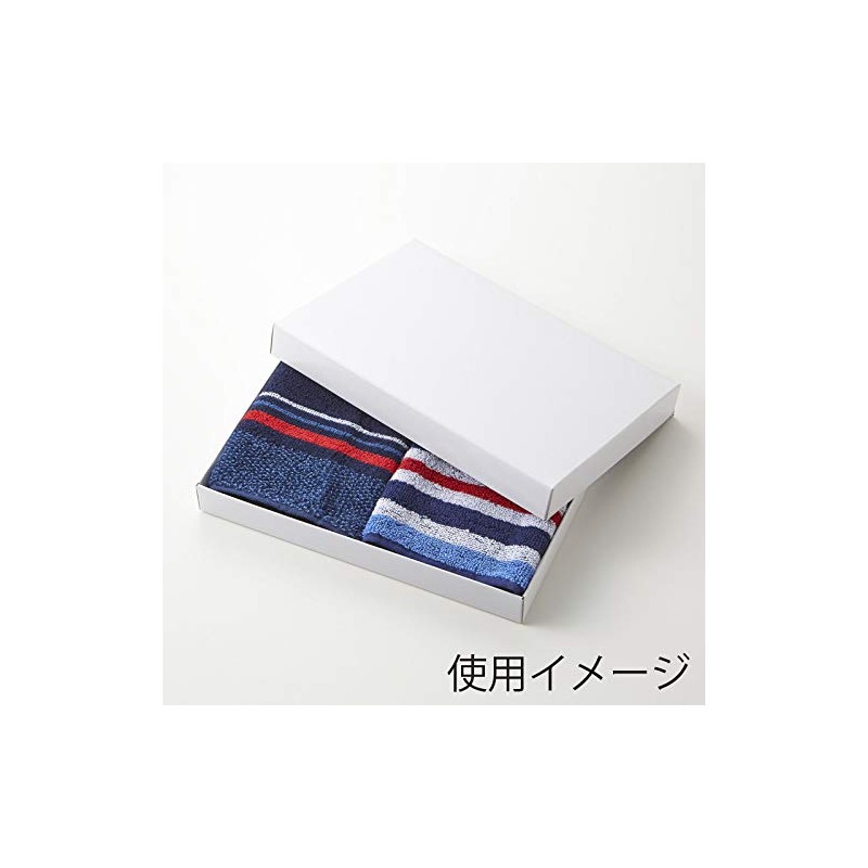 Shimojima Haiko DX White Plain Box G-4 10P for Handkerchiefs