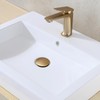 JONKEAN Bathroom Pop Up Drain with Overflow,Vanity Vessel Sink Drain