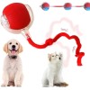 CA&T nteractive Cat Toy Balls - Automatic Interactive Cat Toys