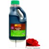 Lee Kum Kee Gluten-Free Premium Dark Soy Sauce 64 oz~Exp