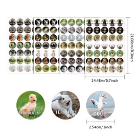 1120 Teacher Reward Stickers Funny Motivational Positive Stickers for Kids Students 28 Vibrant Designs Fun Animal Reward Come in Envelope for Kids Students Teacher School Classroom