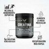 Creatina Monohidratada Natural Inamyc en Polvo 300 g Suplemento |