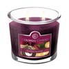 Colonial Candle Holiday Sparkle Scented Jar Candle, 2 Wick, 3.5