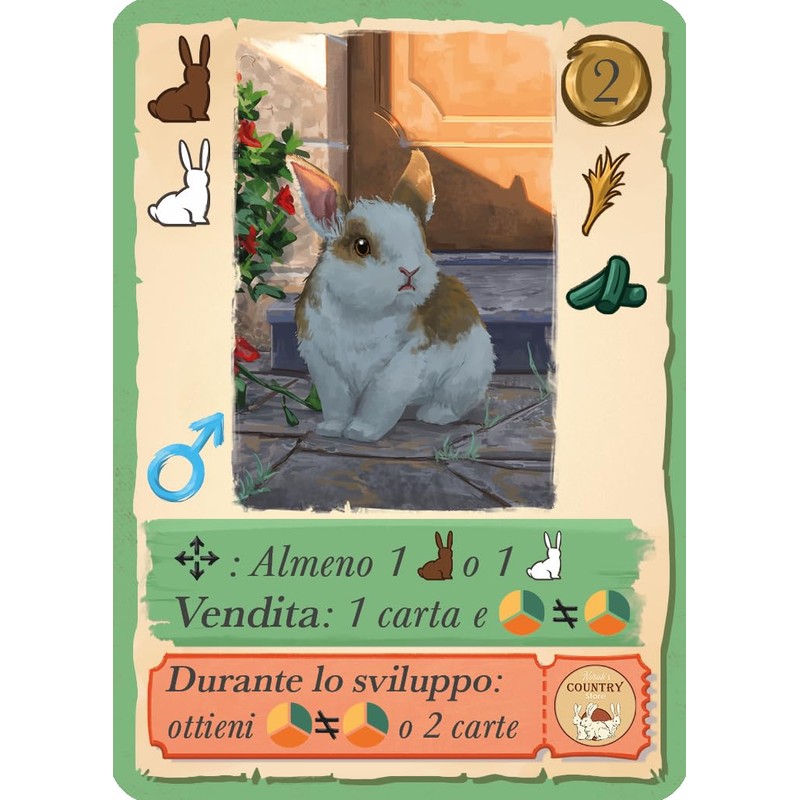 LITTLE ROCKET GAMES CONEY Board Game in Italian