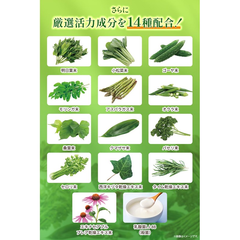 【医師・管理栄養士W監修】 スルフォラファン サプリ ブロッコリー&ブロッコリースプラウト 18495mg/袋 約30日分 4粒615mg 120粒 モリンガ 桑の葉