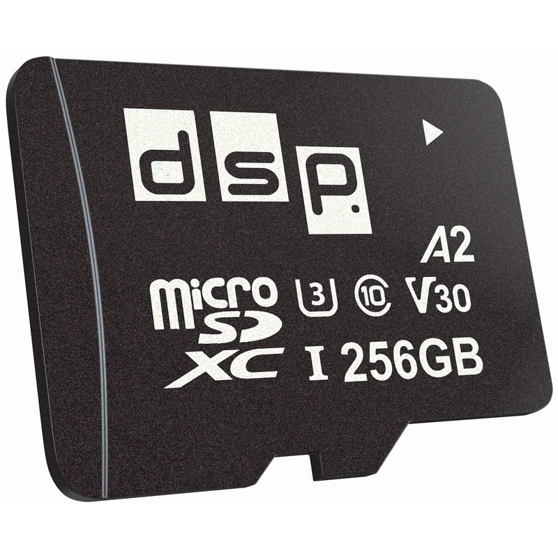 256 GB microSDXC Memory Card (A2, V30, U3) for CAT