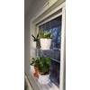 SUPREMETECH Hanging Acrylic Shelves for Windows (22" Wide, 1 Shelf