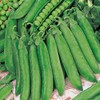Suttons - Pea Seeds - Hurst Greenshaft