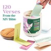 Within The Divine Bible Verse Jar - 120 Color-Coded Read