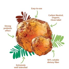 gesundo Organic Fibre Powder Fibregum - Organic Acacia Fibre - 200 g Tin