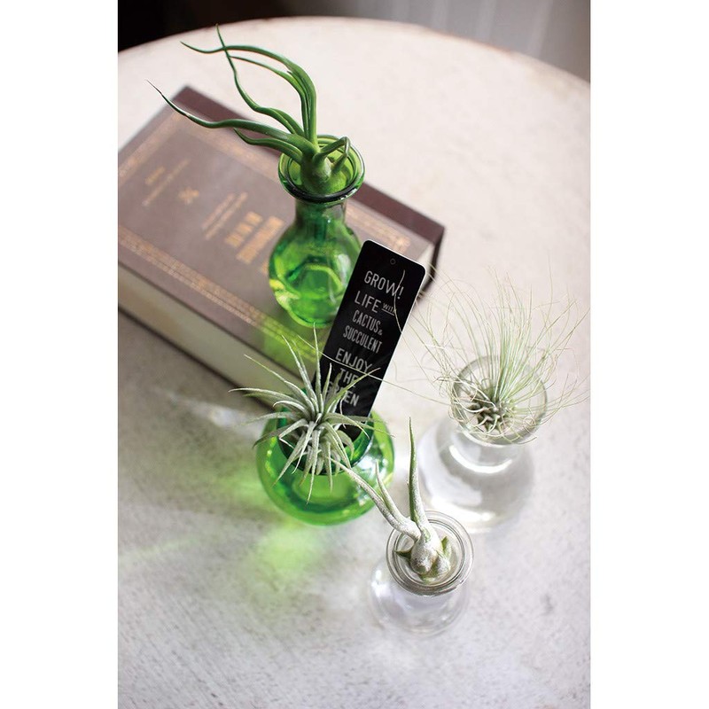 Spice of Life Tiny Glass Flower Base