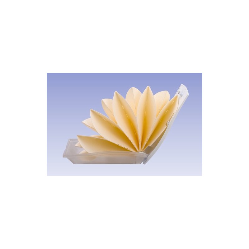 Mikuni Little Oasis White