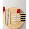 ZWILLING 4-pc Serrated Steak Knife Set, Stainless Steel