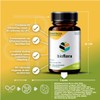 Bioflora Balance™ | Probioticos + Prebioticos Simbióticos | Cápsulas Veganas