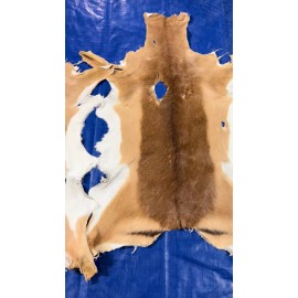 Cowhides USA Impala Skin - Real African Impala Antelope Hide 2nd Grade Skin