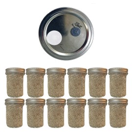 Shroomability BRF Jars Mushroom Substrate Organic Magical Grow Kit