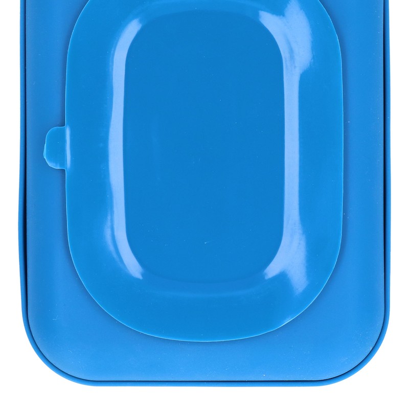 Baby Silicone Divided Food Plate with Lid Drop Resistant Suction