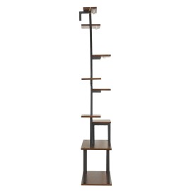 Lighted Indoor Plant Stand 63 Inch 9 Tier Metal Grow Rack Full Spectrum LED Flower Display Corner Balcony Living Room UseDefault: Default