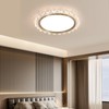 Oliterlux Crystal Flush Mount Ceiling Light, Dimmable LED Modern Close