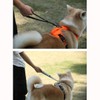Dog Lead, Short Lead, For Medium/Large Dogs, For Extra Large