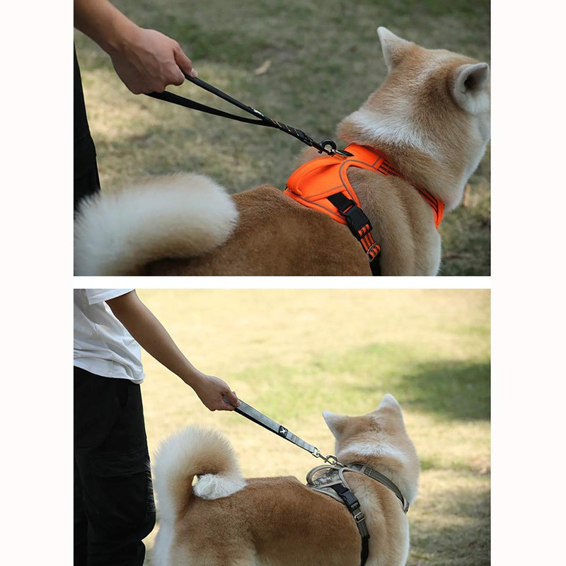 Dog Lead, Short Lead, For Medium/Large Dogs, For Extra Large