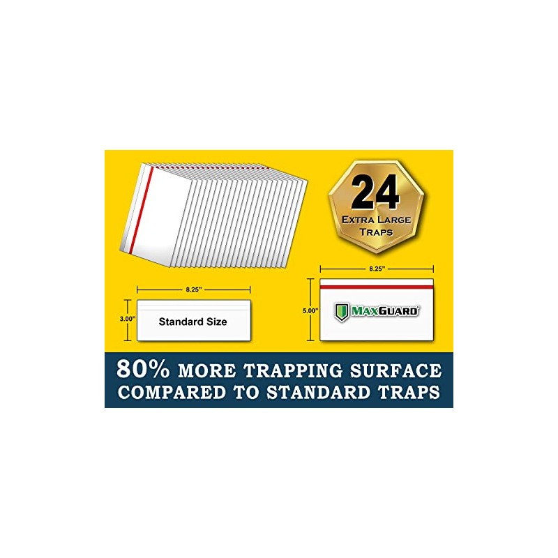 MaxGuard Window Fly Traps - Capture & Kill Insects Effortlessly