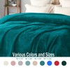 Exclusivo Mezcla Large Flannel Fleece Throw Blanket, 127x178 CM Sofa