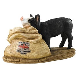 Kitchy & Co Mr Hoggs Piggy Wiggy Nuts Figurine, Resin, Multicoloured, 7 x 10.5 x 7 cm