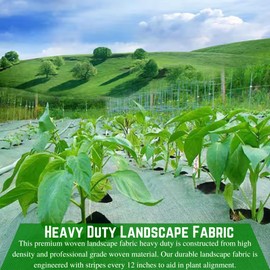 Farm Plastic Supply - 3.2oz Green Landscape Fabric Heavy Duty - Commercial Grade UV Resistant Landscape Fabric, Woven Landscaping Fabric, Ground Cover for Gardening, Farming, Agriculture (3' x 300')