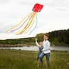 Qtioucp Kite for Kids & Adults Handle 100M line for