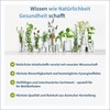 NatuGena Lysine 3000 / High Dose Bioidentical Lysine Formula /