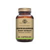 Solgar Ashwagandha Root Extract Vegetable Capsules - Pack of 60