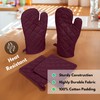 Native Fab 4 Piece Set - 2 Oven Mitts &