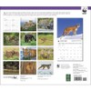 Wild Cats WWF 2022 Wall Calendar