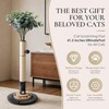 Pawalaya 35 Inch Cat Scratching Post, Eucalyptus Sisal Rope Cat