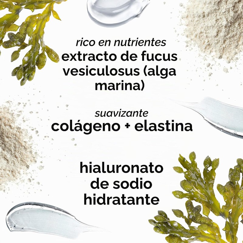 Seaweed Night Cream by Mario Badescu for Women - 1