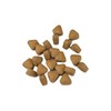 Dr. Namba Maitake Tablets, 300 Tablets