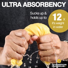 Premium Shammy Towel for Car - Large 2 Pack (26"x17") - Super Absorbent, Streak-Free, Lint-Free, Scratch-Free Cloth for Cars, Boats, Home - Reusable Synthetic PVA Chamois + Hanging Storage Tubes