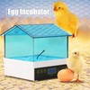 4 Eggs Incubator Temperature Control Digital Chicken Chick Duck Hatcher