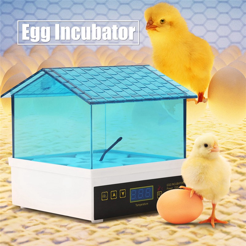 4 Eggs Incubator Temperature Control Digital Chicken Chick Duck Hatcher