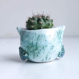 Small Flower Pots for Succulents 1.5-2.4 in - Green Ceramic Owl Mini Pots for Potted Succulent and Cactus Planters Indoor room decor- Cute Planter Animal Shape with drain
