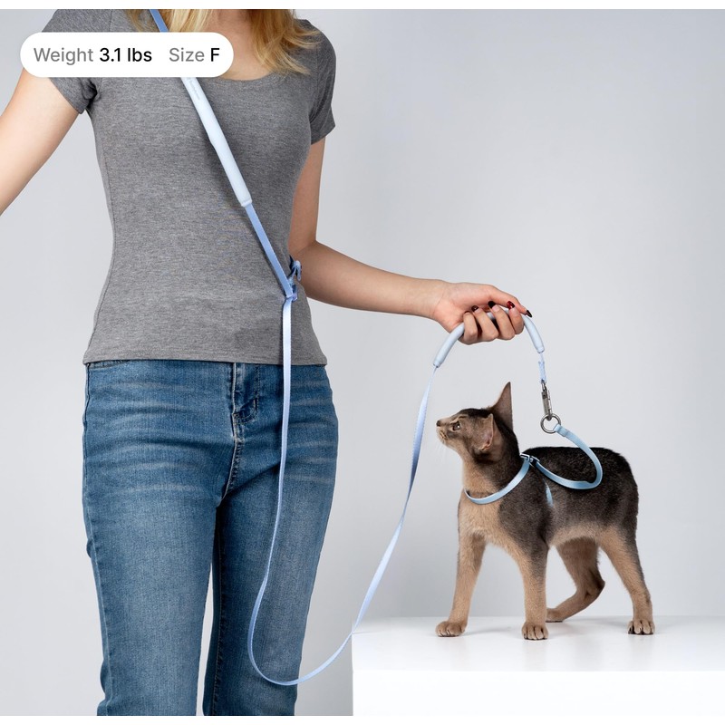 BuddyArmor Cat Harness and Leash Set, Lightweight Escape Proof Cat