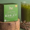 WORLDWIDE Amazing Pure Organic Barley Powdered Drink Mix (10 x