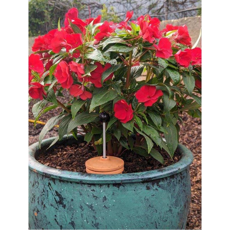 Plant Nanny Olla (1 Liter Single)