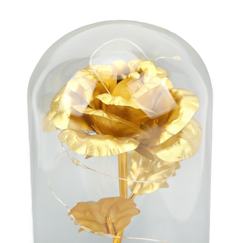 Rose in Glass Dome Lucky Beautiful Symbolism Romantic Enchanted Rose