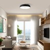 ZUYURT Modern Flush Mount Ceiling Light, Dimmable Black Light Fixture,