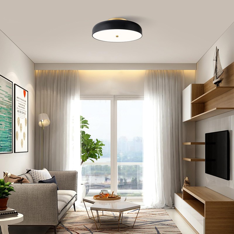 ZUYURT Modern Flush Mount Ceiling Light, Dimmable Black Light Fixture,