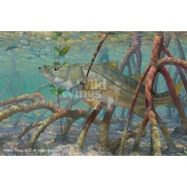 Wild Wings Mean Streak - Snook Limited Edition Print by Mark A Susinno