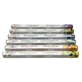 ZEN MOON Natürliches Räucherstäbchen | 48 Stäbchen | 6 Düfte: Lavendel, Minze, Zitrone, Vanille, Ylang Ylang und Kardamom | mit Holzbrenner, ideal für Meditation und Entspannung