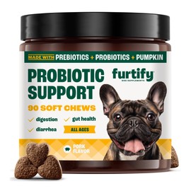 Furtify Probiotics for Dogs with Prebiotics, Fiber, Chicory Root & Pumpkin I 8-Strain Pre and Probiotic Dog Chews | Dog Probiotics for Digestive Health, Gut Support, Diarrhea & Gut Flora, 90 Count